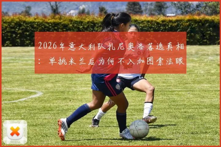 2026年意大利队扎尼奥洛落选真相：单挑米兰后为何不入加图索法眼，球员状态与战术适配深度分析