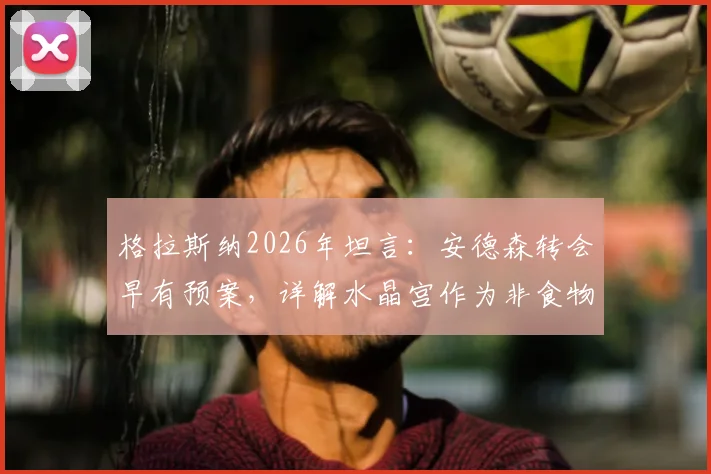 格拉斯纳2026年坦言：安德森转会早有预案，详解水晶宫作为非食物链顶端球队的生存之道与转会策略