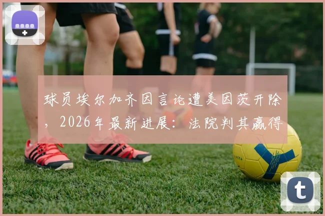 球员埃尔加齐因言论遭美因茨开除，2026年最新进展：法院判其赢得不当解雇诉讼，事件始末与争议焦点解析